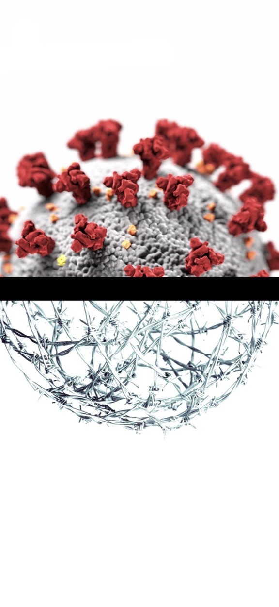 a report reads pandemic in PA prisonsand shows the COVID 19 virus on top of barbed wire